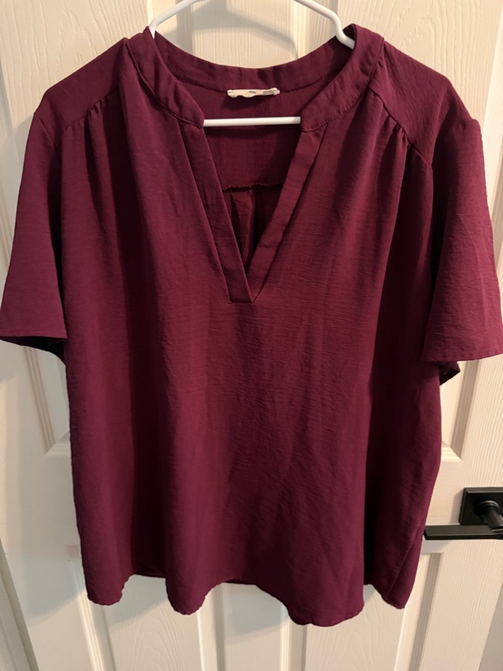 entro Plum V-Neck Short Sleeve Blouse